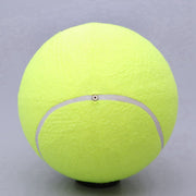 2X Pet Bite Toy 24CM Giant Tennis Ball for Dogs Chew Toy