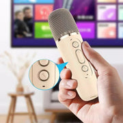 3 in 1 Wireless Microphone Karaoke Machine (Bluetooth Speaker, LED Lights, Microphone, Premium quality)