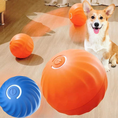 Automatic Moving Dog Toy Ball with Smart USB