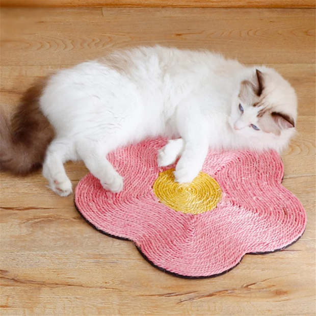 Sisal Cat Scratcher Board Cat
