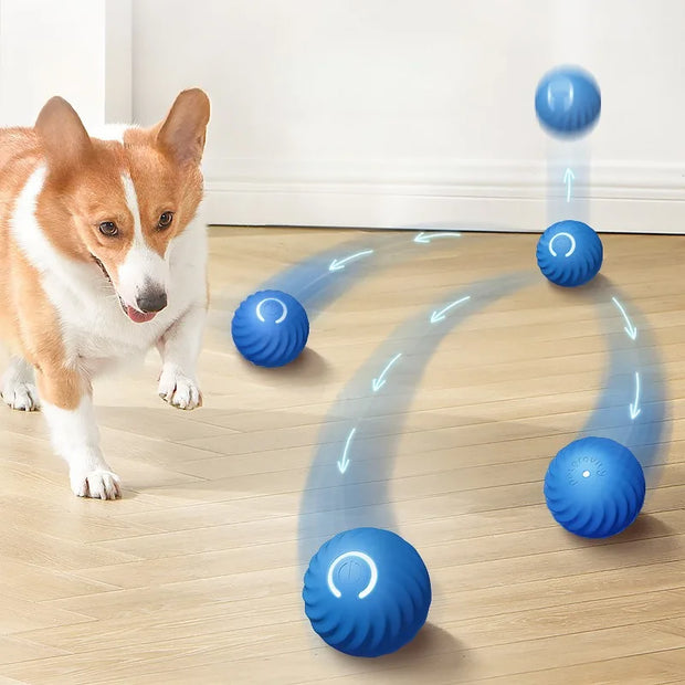 Automatic Moving Dog Toy Ball with Smart USB