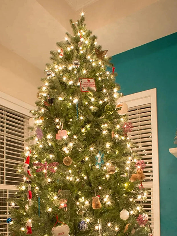 Fairy String Lights, Christmas Tree Set, 2.5m, 110 V, 220V